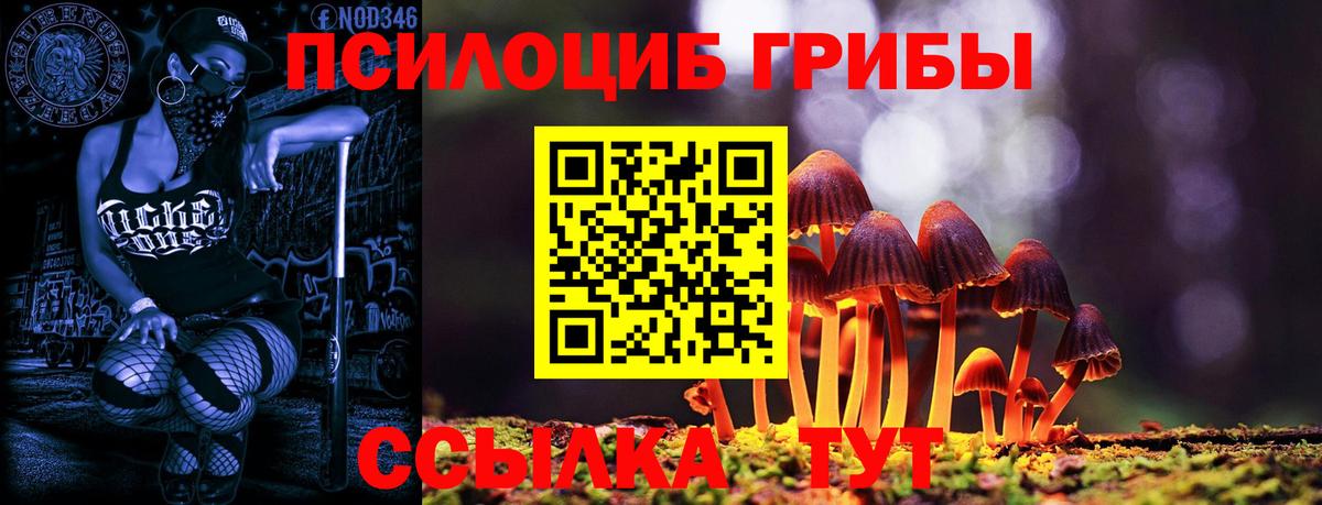 Отрадный  Галлюциногенные грибы GOLDEN TEACHER  Псилоцибиновые грибы Magic Shrooms  где продают   Вход с VPN 