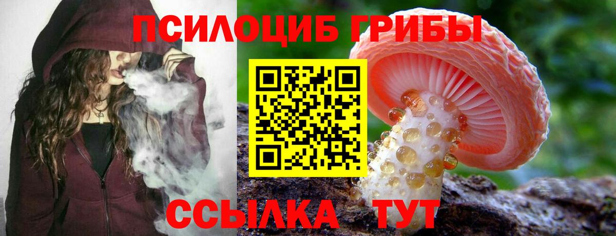 Галлюциногенные грибы мухоморы Отрадный